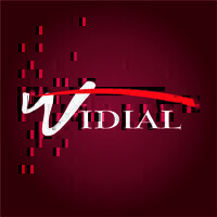 VIDIAL на Путилова